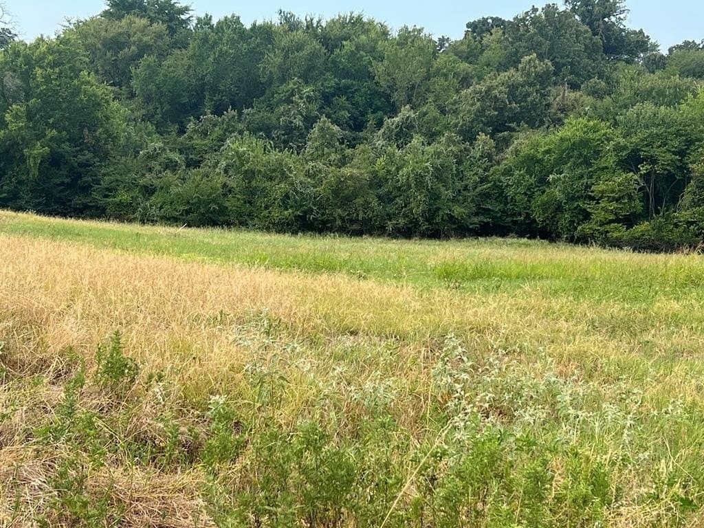 1.01 acres in Henderson County - photo 8