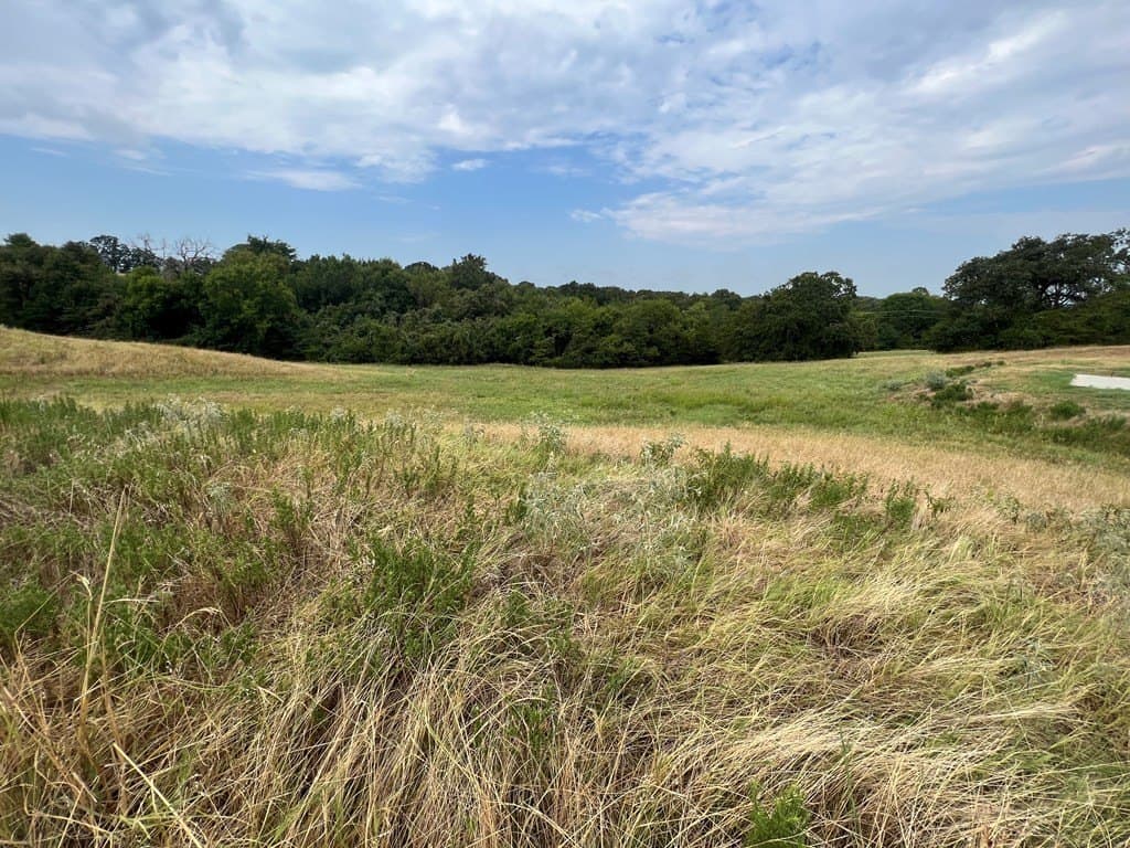 1.01 acres in Henderson County - photo 4