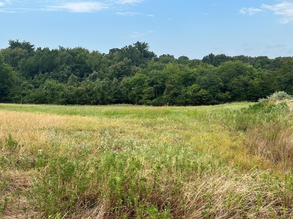 1.01 acres in Henderson County - photo 7