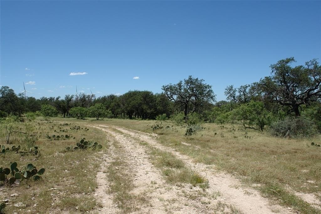67 acres in McCulloch County - photo 8