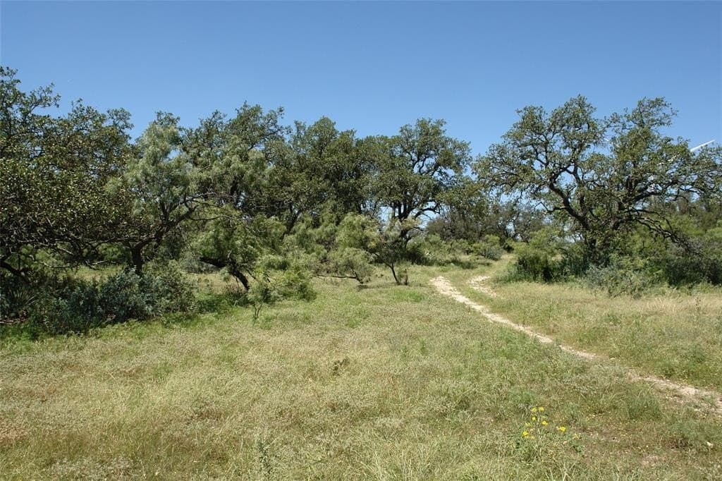 67 acres in McCulloch County - photo 6