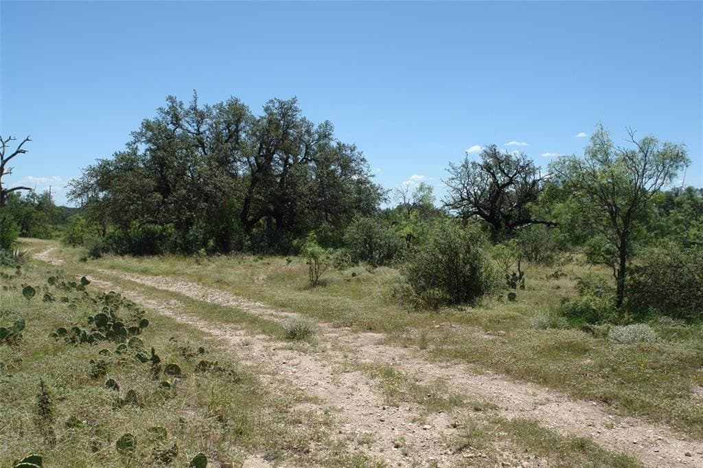 67 acres in McCulloch County - photo 5