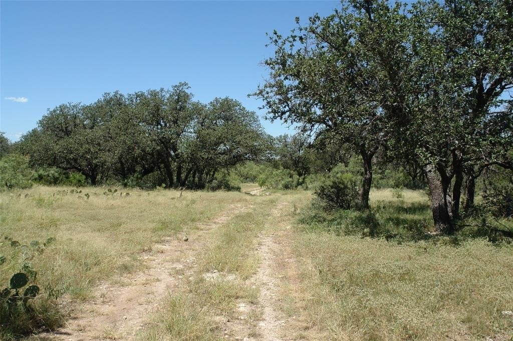 67 acres in McCulloch County - photo 9