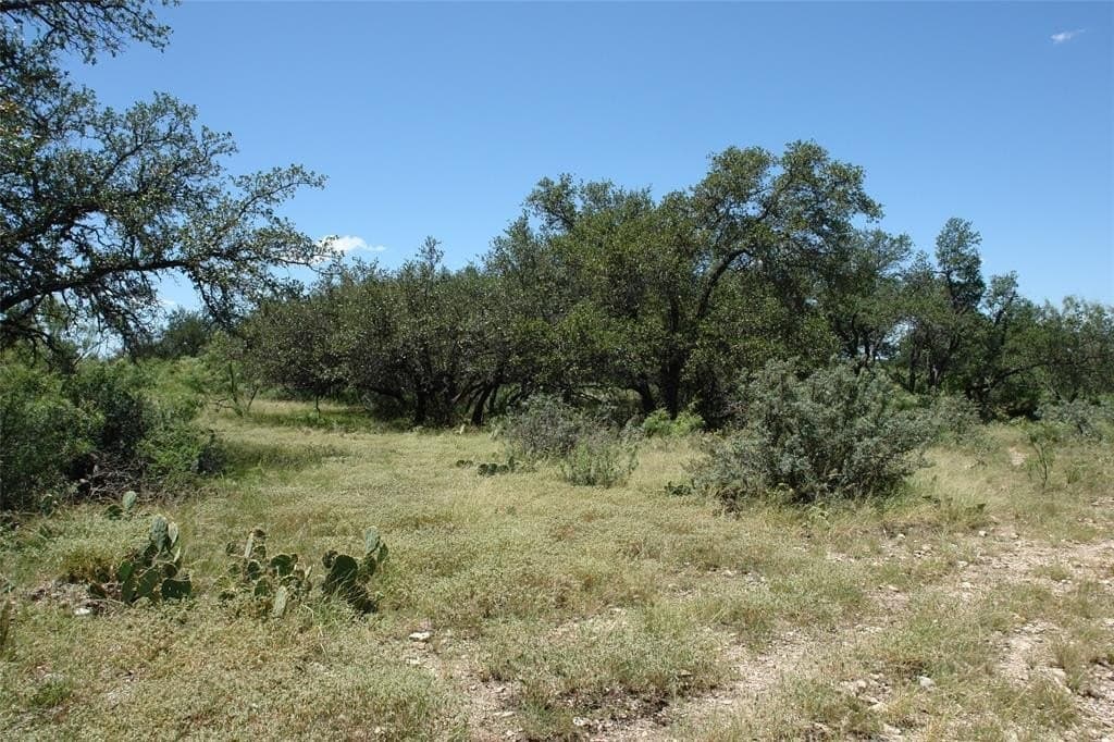 67 acres in McCulloch County - photo 10