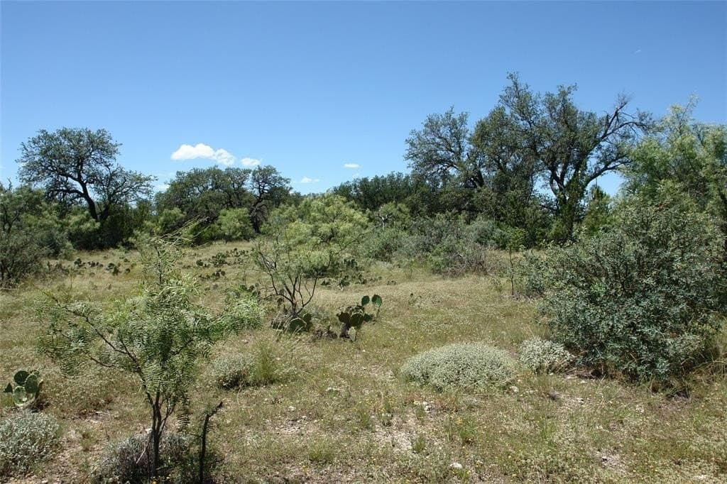 67 acres in McCulloch County - photo 7