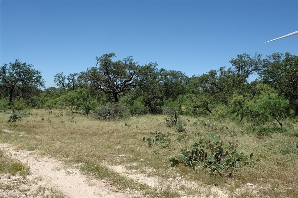 67 acres in McCulloch County - photo 11