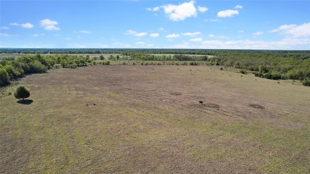 76.38 acres in Delta County - photo 7