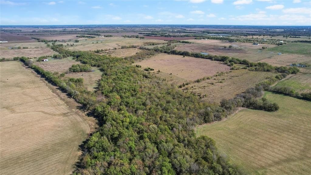 76.38 acres in Delta County - photo 9