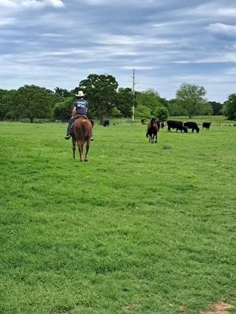 17.9 acres in Hill County - photo 39