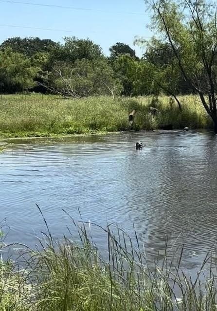 17.9 acres in Hill County - photo 38