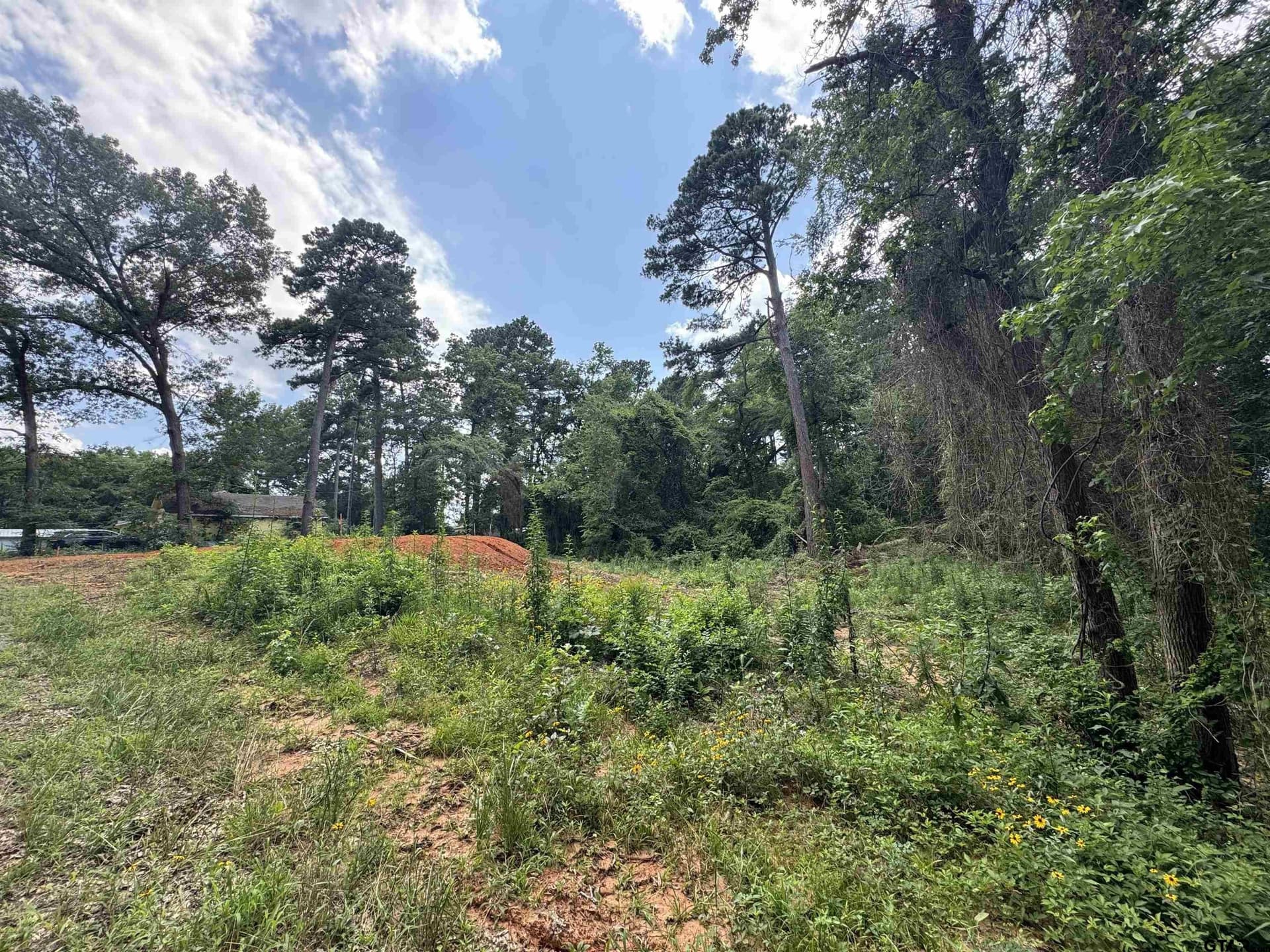 0.26 acres in Wood County - photo 2