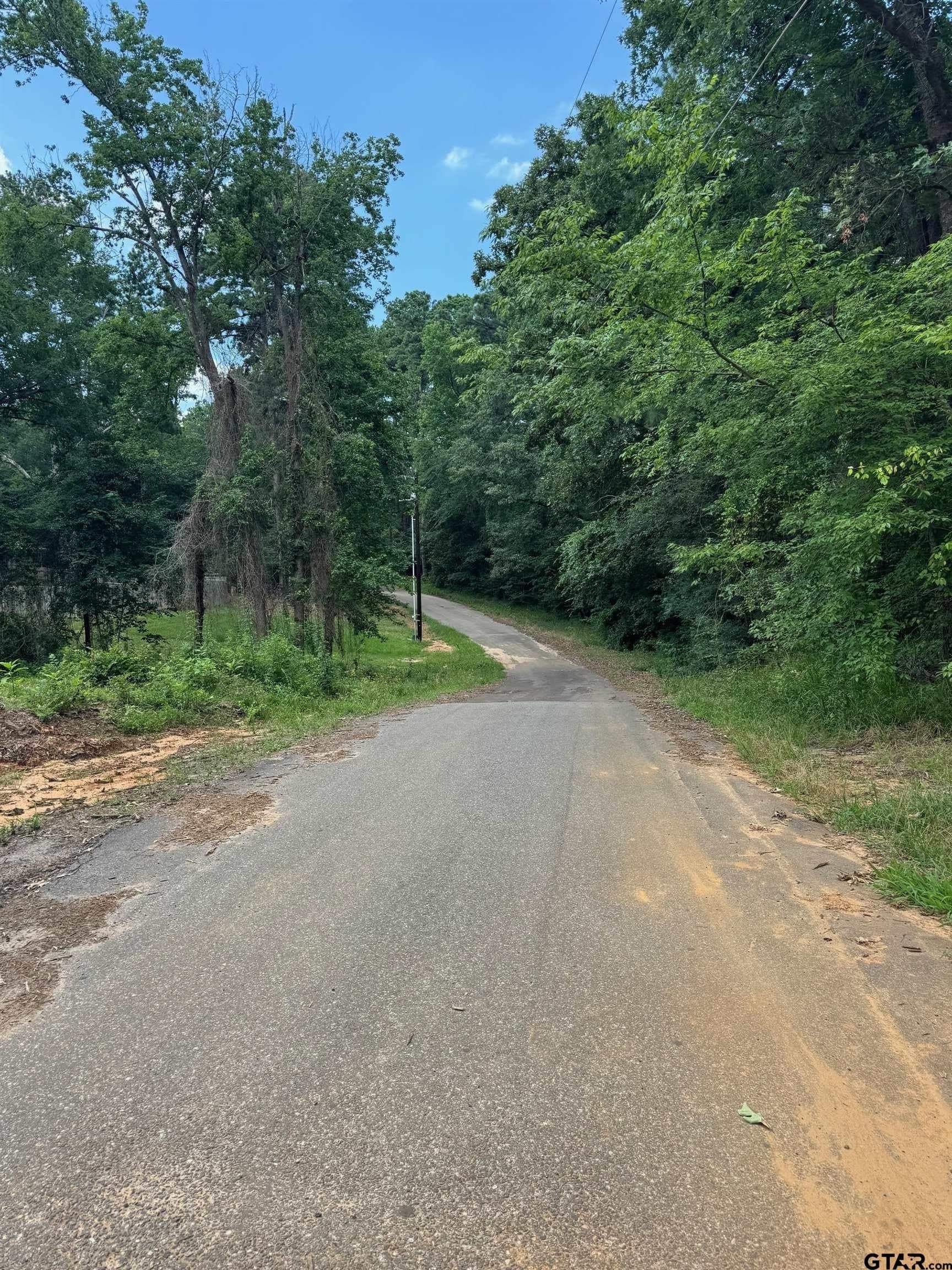 0.26 acres in Wood County - photo 7