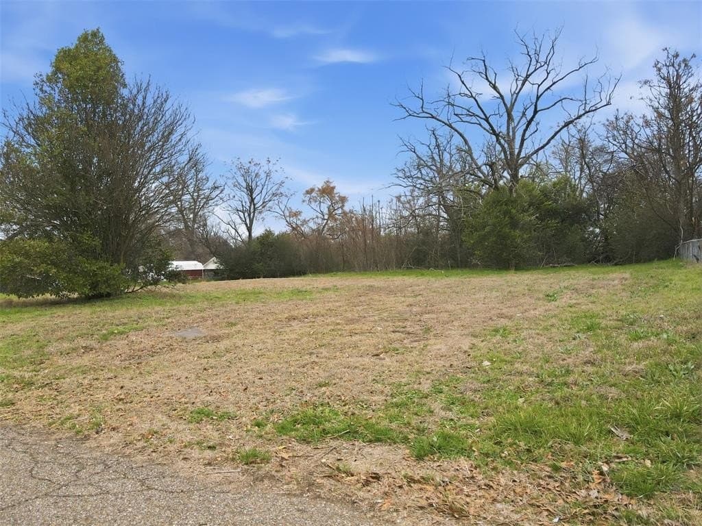 0.4 acres in Wood County - photo 10