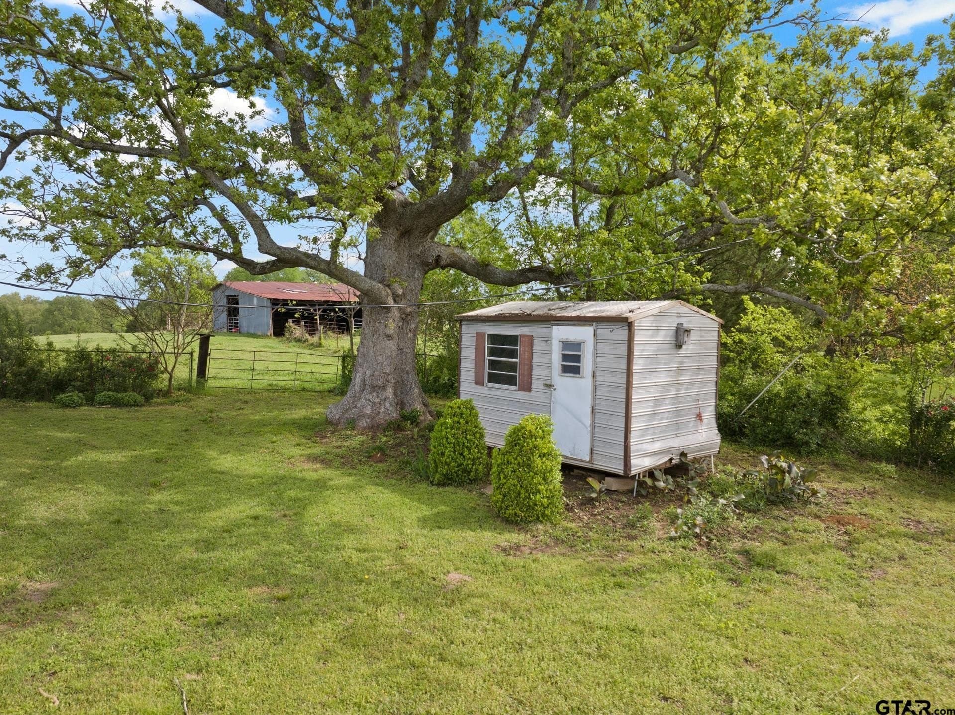 80.11 acres in Titus County - photo 28