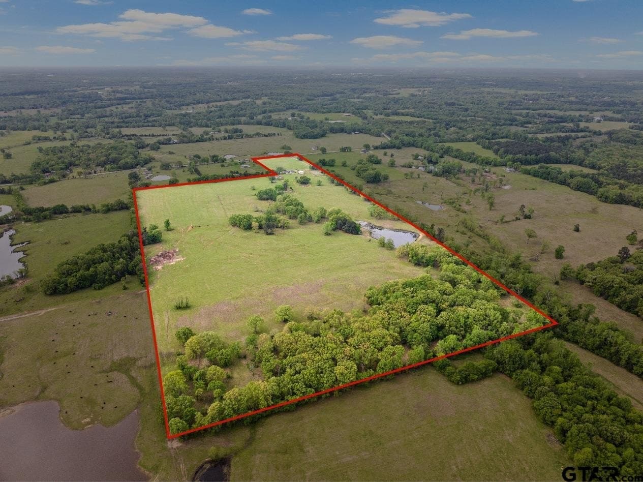 80.11 acres in Titus County - photo 3