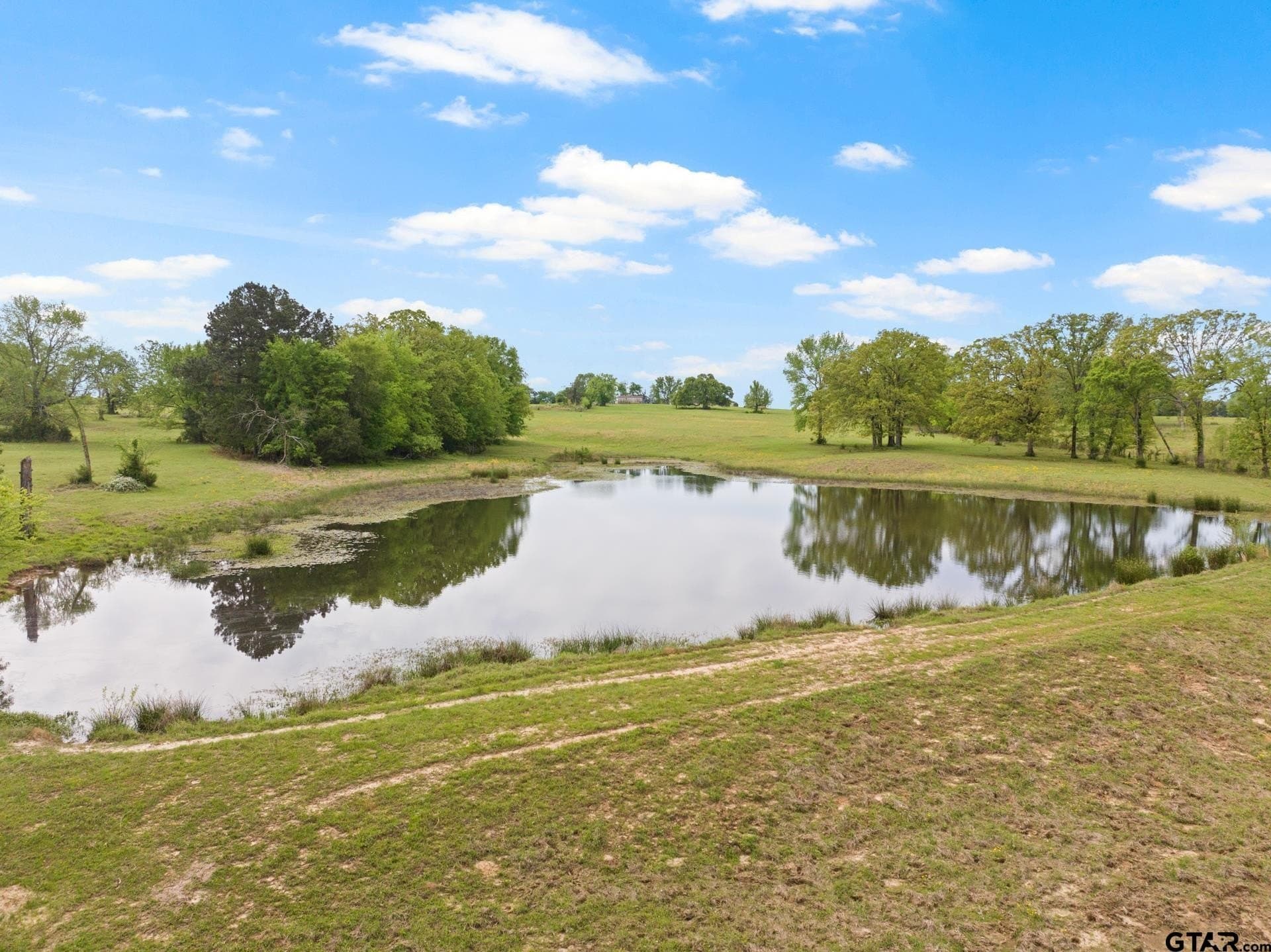 80.11 acres in Titus County - photo 5