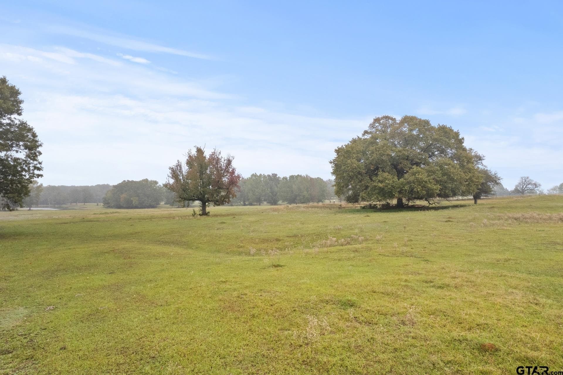 80.11 acres in Titus County - photo 25