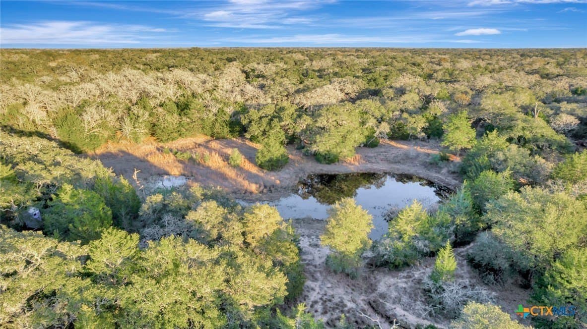 17.19 acres in Lavaca County - photo 8