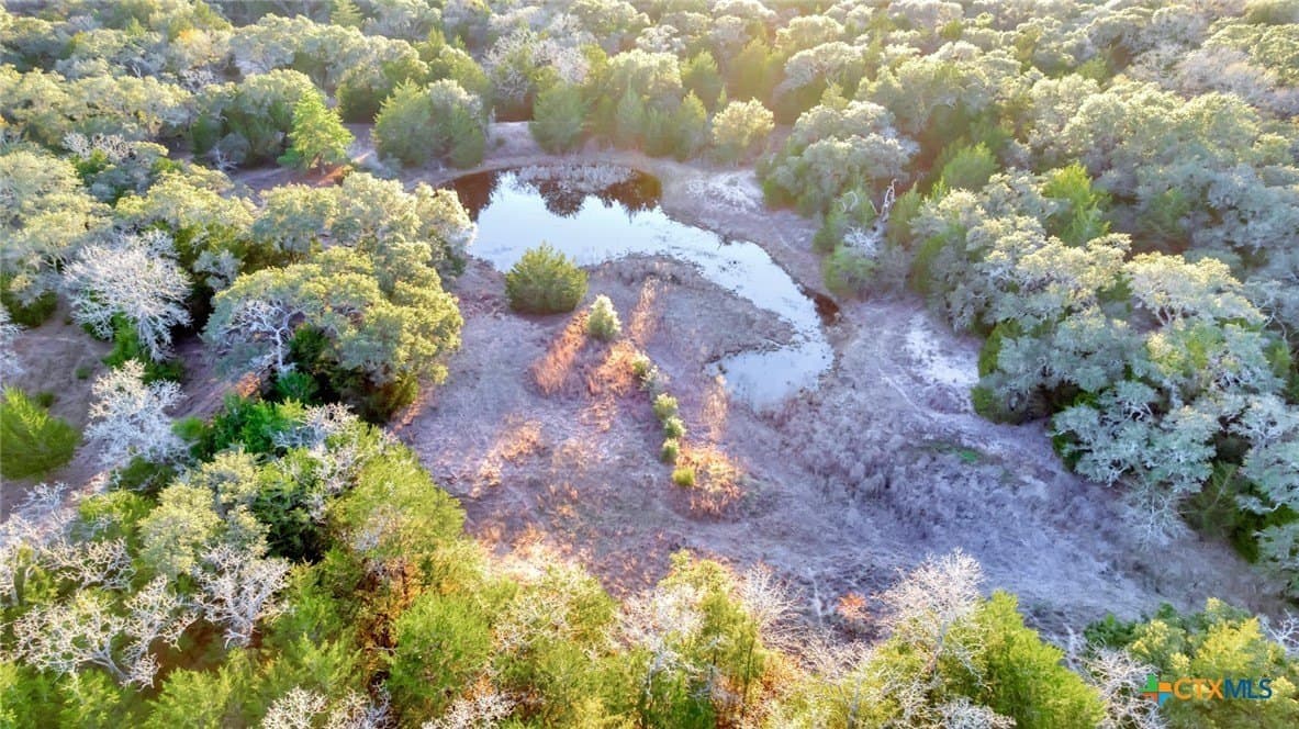 17.19 acres in Lavaca County - photo 14