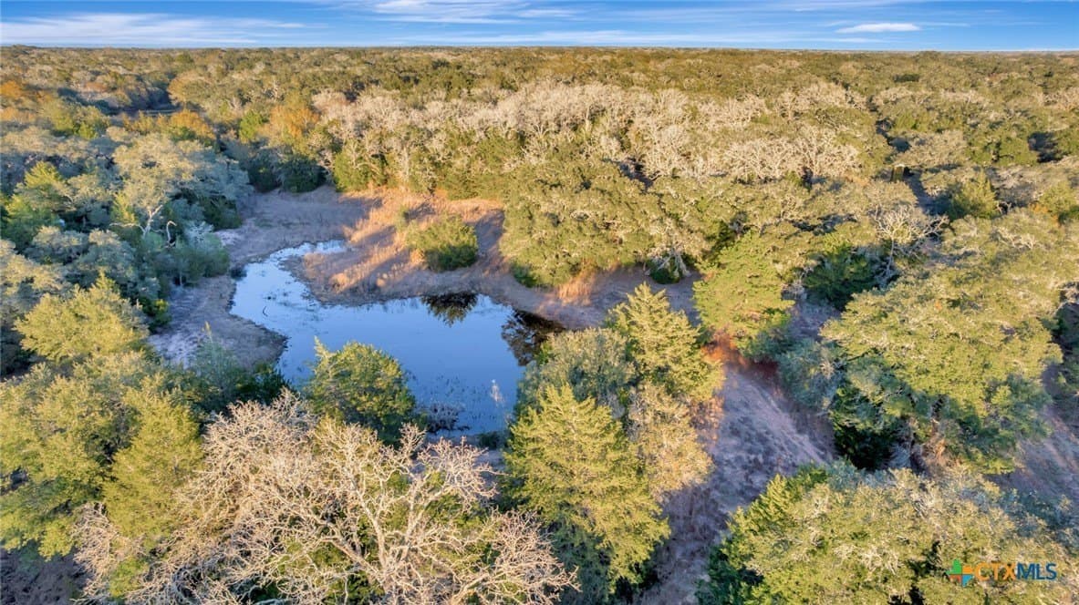 17.19 acres in Lavaca County - photo 5