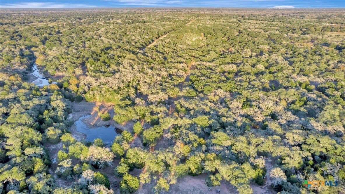 17.19 acres in Lavaca County - photo 10