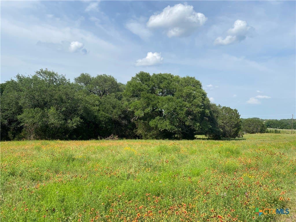 20 acres in Burnet County - photo 2