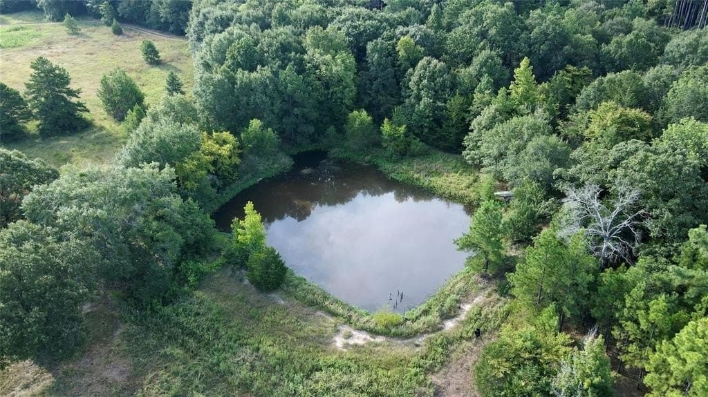 8.09 acres in Wood County - photo 11