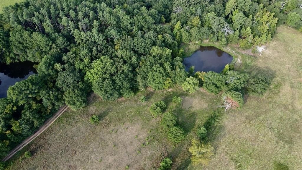 8.09 acres in Wood County - photo 9