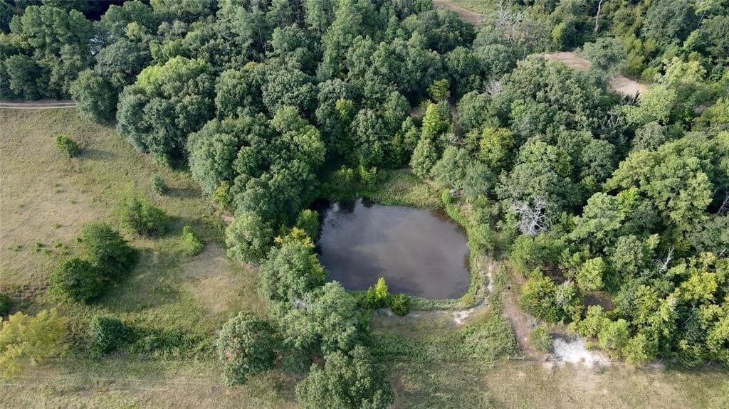8.09 acres in Wood County - photo 10
