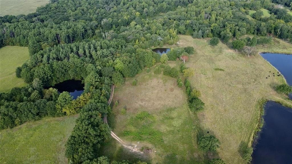 8.09 acres in Wood County - photo 8
