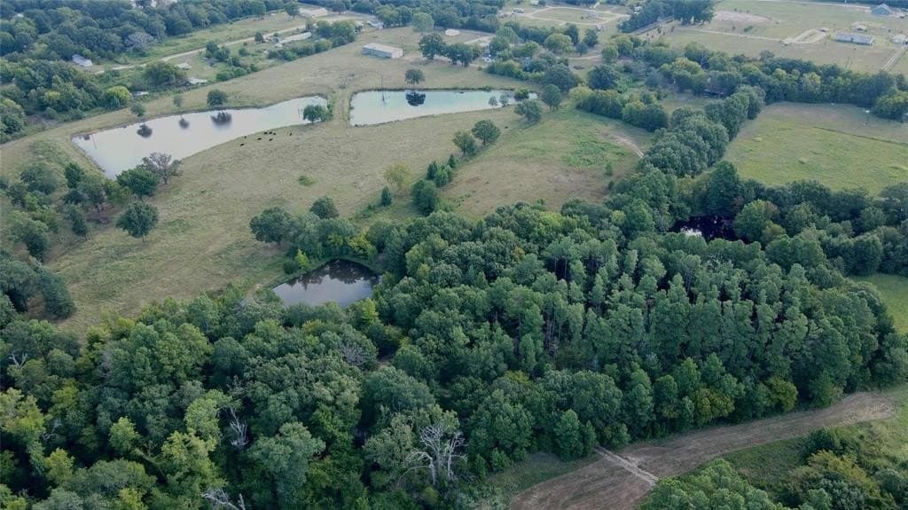 8.09 acres in Wood County - photo 4