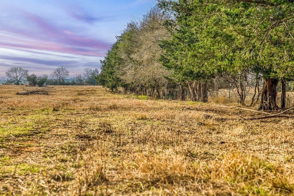 12 acres in Burleson County - photo 7