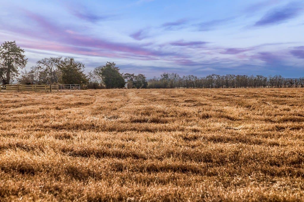 12 acres in Burleson County - photo 5