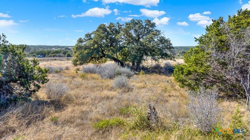 17.93 acres in Bell County - photo 25