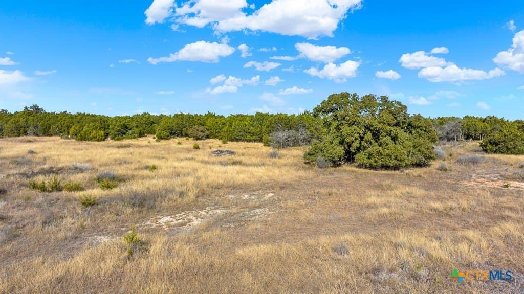 17.93 acres in Bell County - photo 22