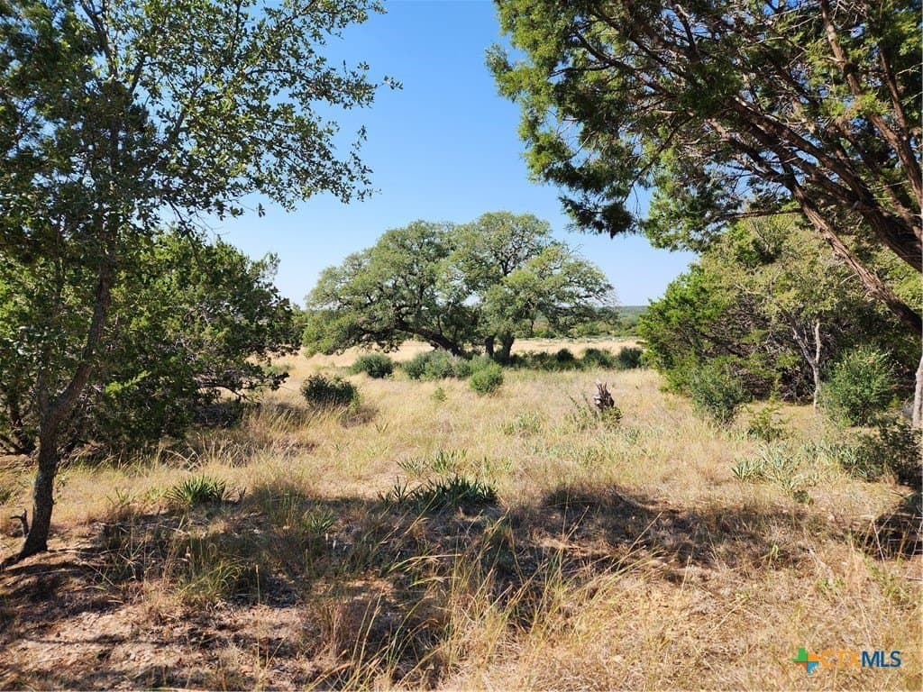 17.93 acres in Bell County - photo 7