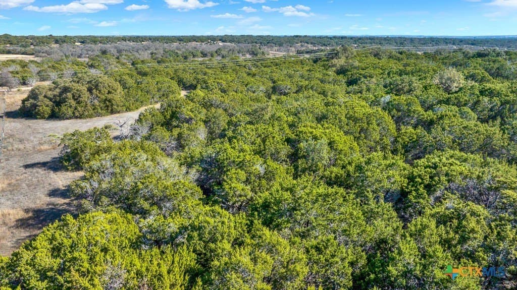 17.93 acres in Bell County - photo 13