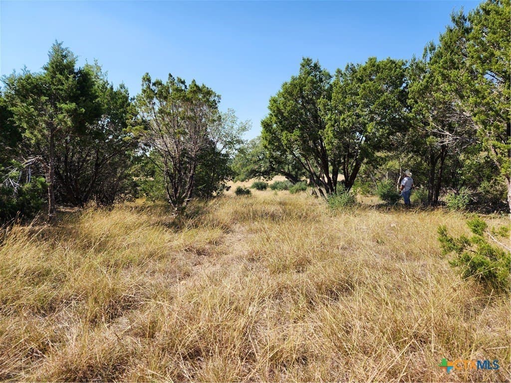 17.93 acres in Bell County - photo 6