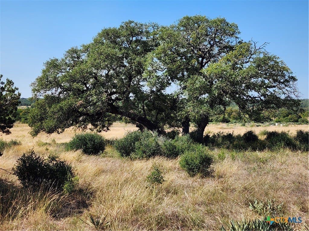 17.93 acres in Bell County - photo 3