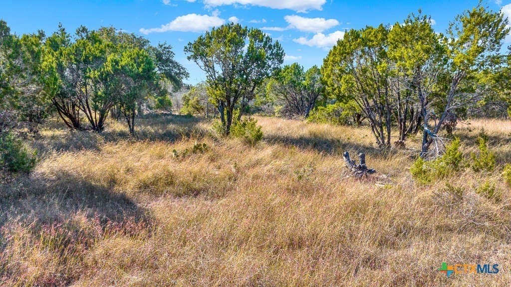 17.93 acres in Bell County - photo 19