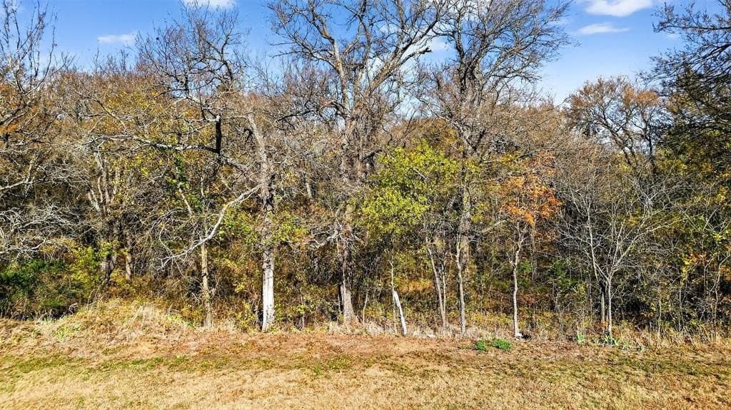 7.98 acres in Grayson County - photo 14