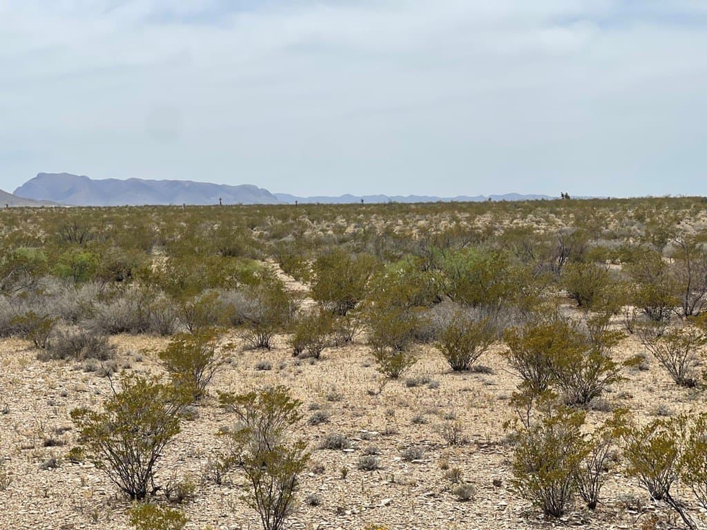 5 acres in Brewster County - photo 7