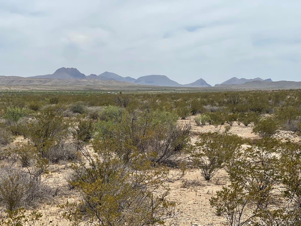 5 acres in Brewster County - photo 12