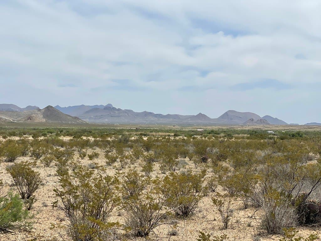 5 acres in Brewster County - photo 3