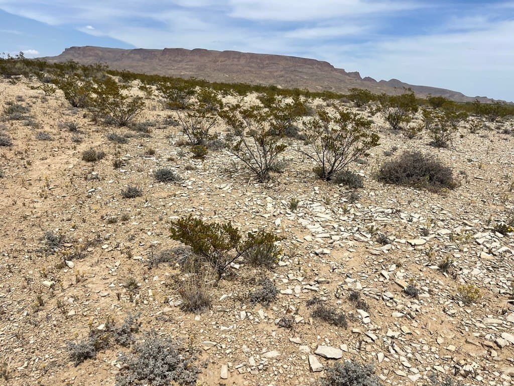 5 acres in Brewster County - photo 9
