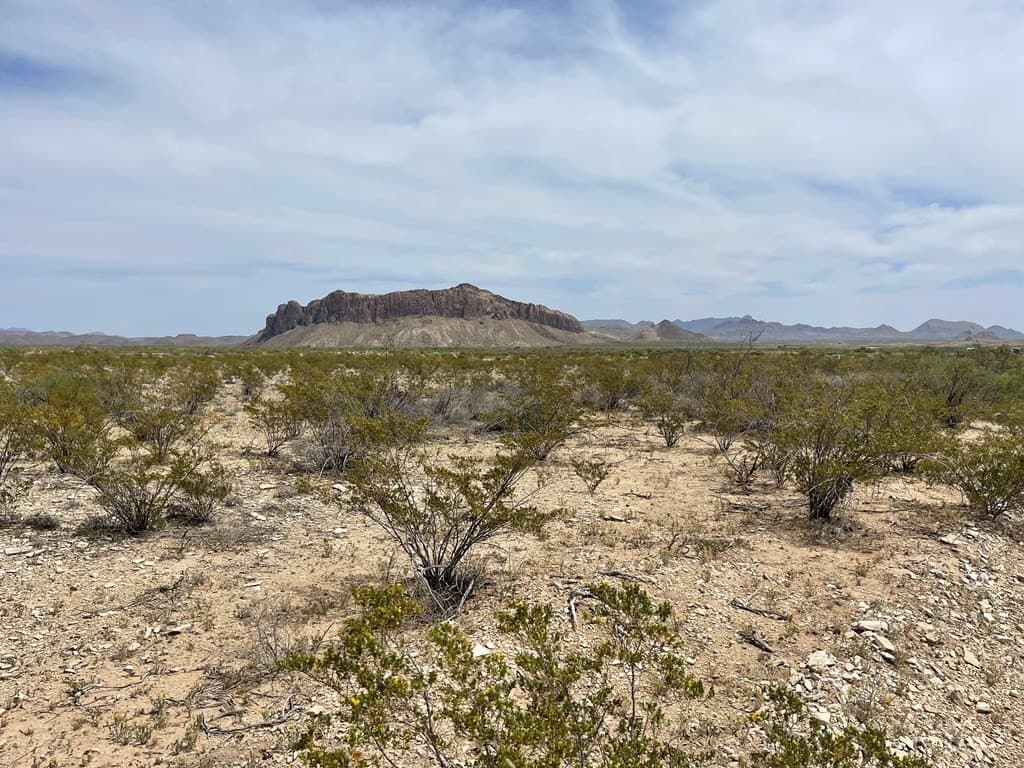 5 acres in Brewster County - photo 13