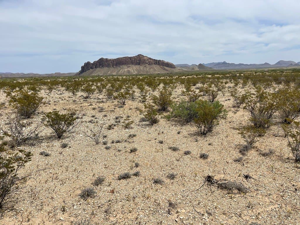 5 acres in Brewster County - photo 10