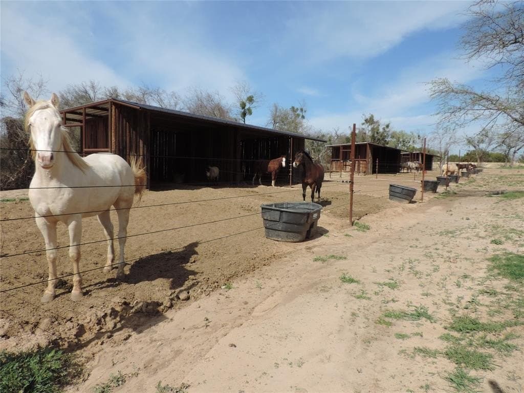 15.71 acres in Erath County - photo 6
