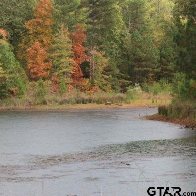 2.17 acres in Anderson County - photo 21