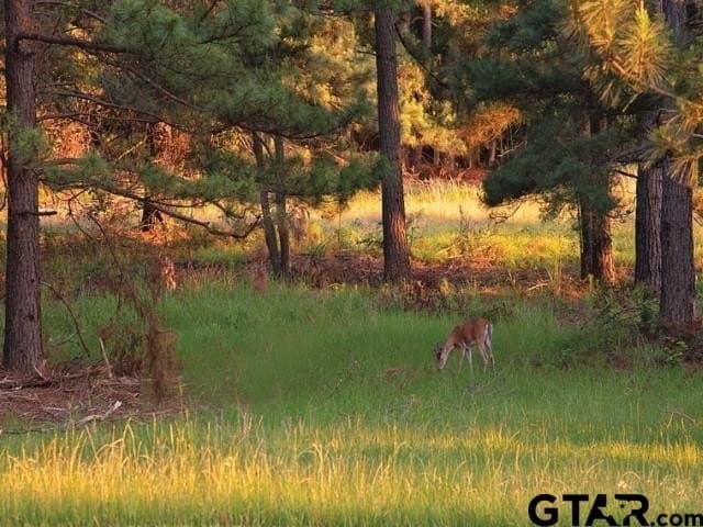 2.17 acres in Anderson County - photo 23